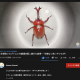 articleImage3506652