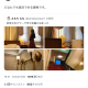 articleImage5281838